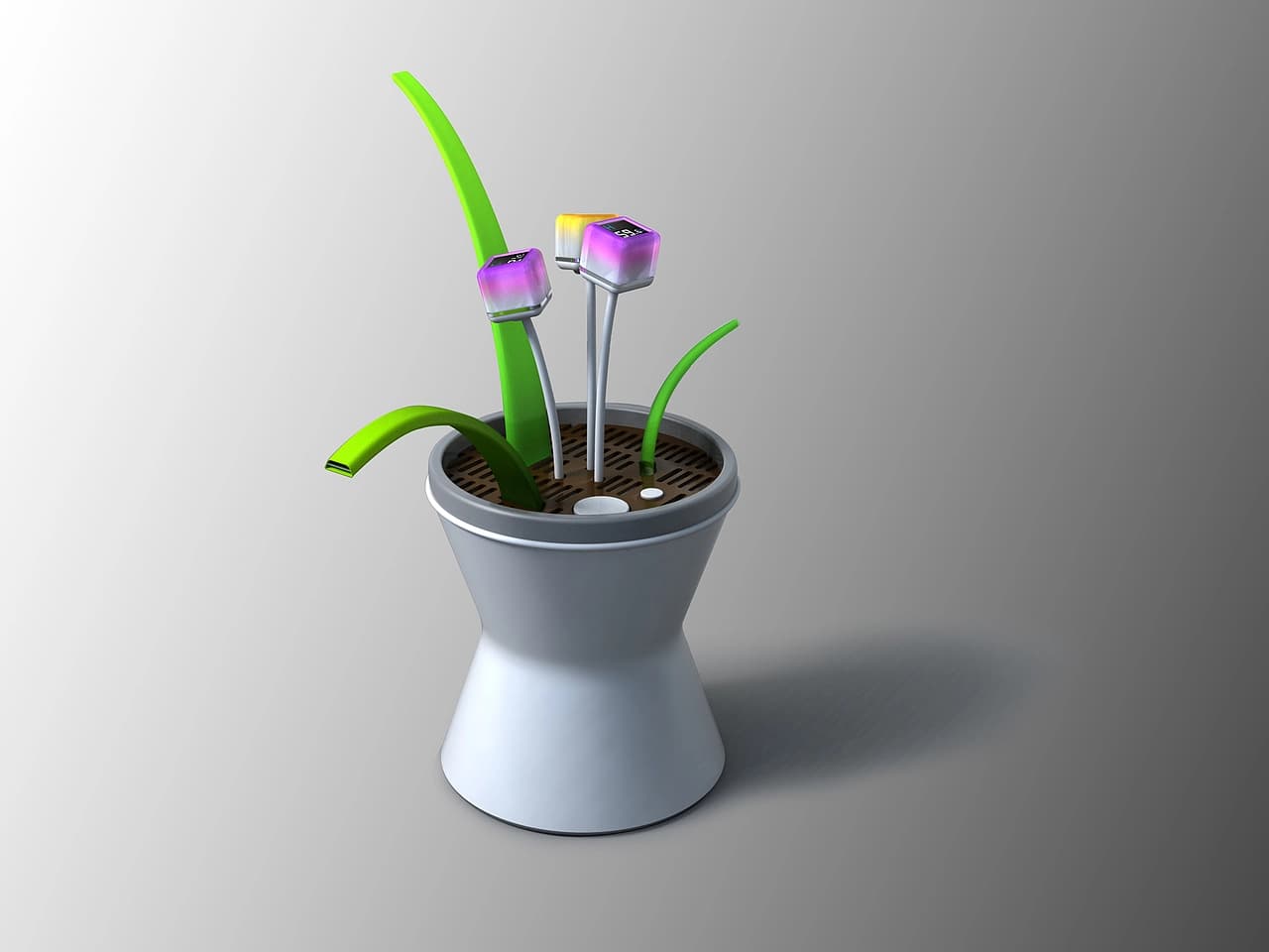 Flower Nurse — cover